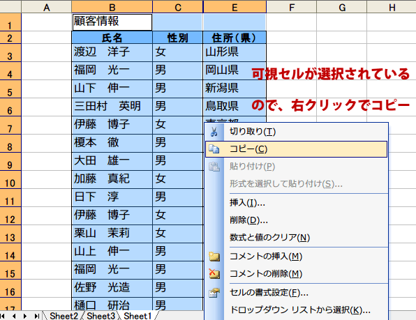 �E�N���b�N�ŃR�s�[