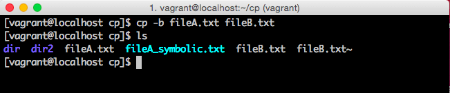 cp -b