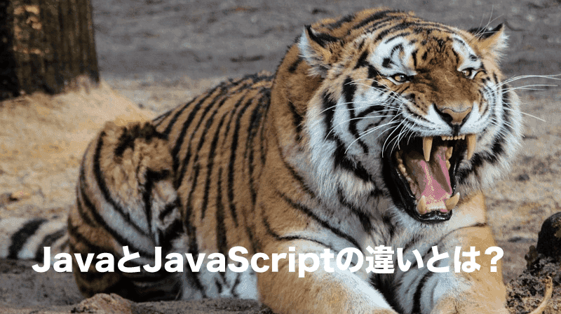 javaとjavascriptの違い