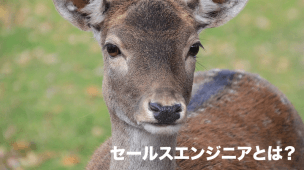 セールスエンジニアとは？