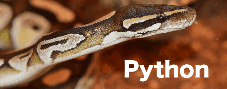 python
