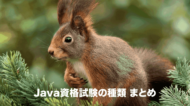 java資格試験の種類