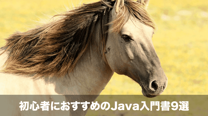 java入門書
