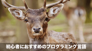 初心者におすすめのプログラミング言語