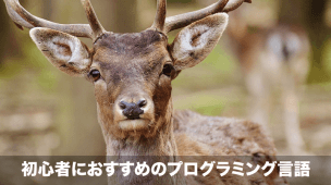 初心者におすすめのプログラミング言語