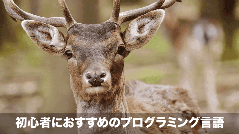 初心者におすすめのプログラミング言語