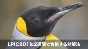 lpic201