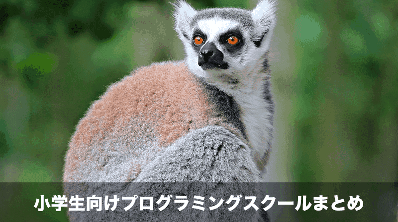 小学生向けプログラミングスクール