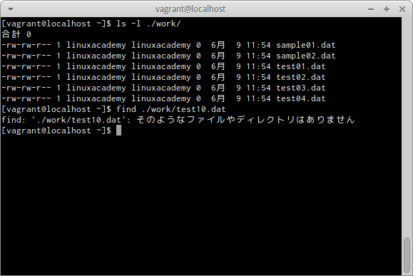 findコマンド エラー