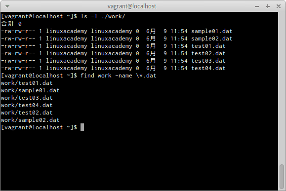 find -nameオプション