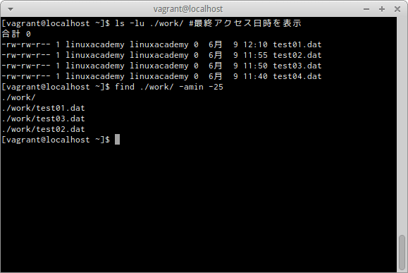 find -aminオプション