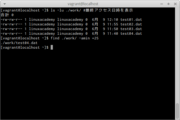 find -aminオプション