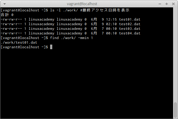 find -mminオプション