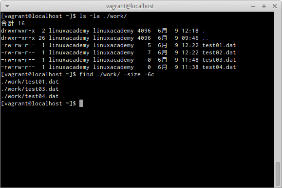 find -sizeオプション