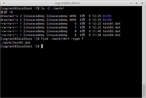 find -type fオプション