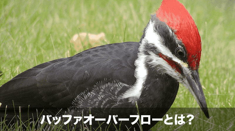 バッファオーバーフローとは