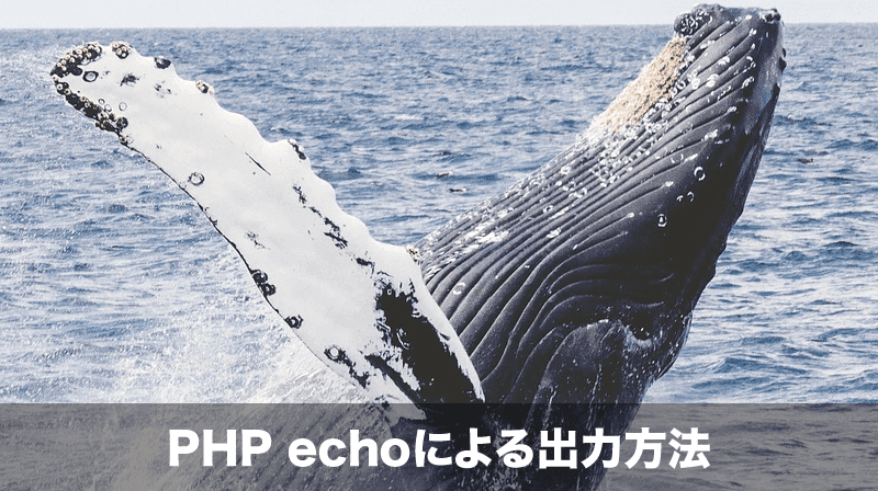 phpでのechoによる出力