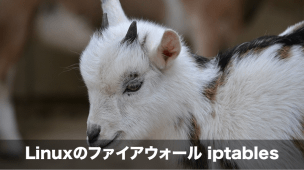 linux firewall