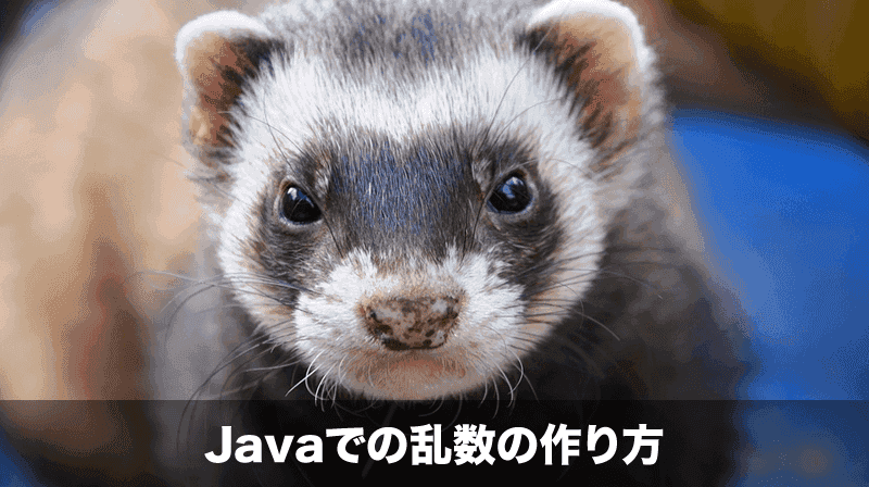 java乱数