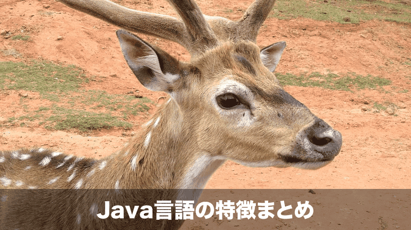 java-feature