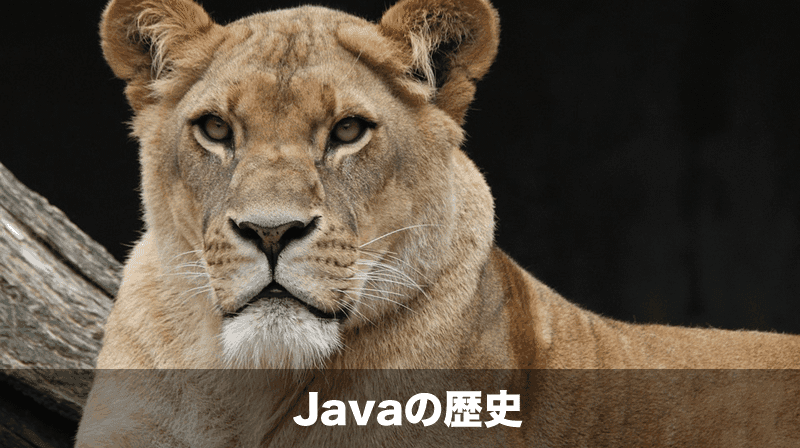 javaの歴史