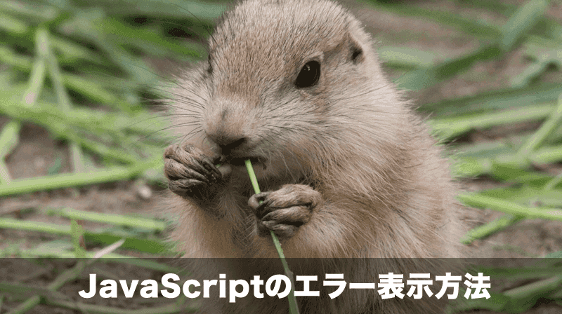 javascriptエラー表示方法