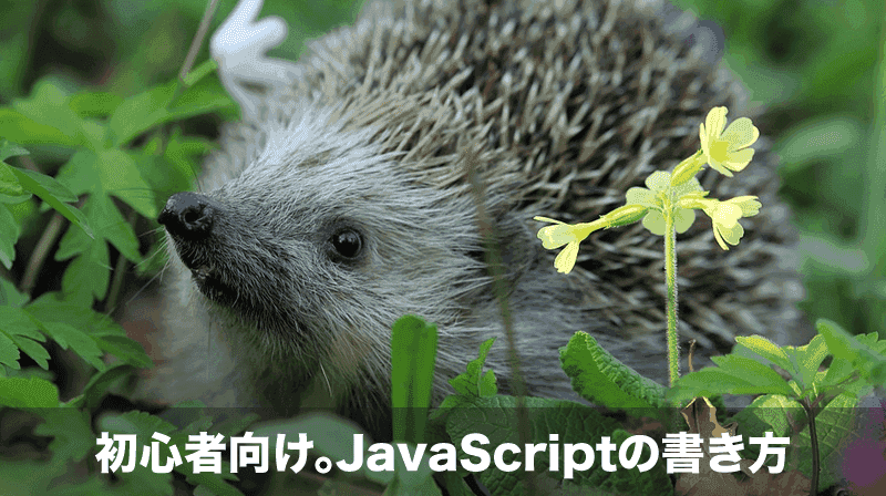 javascriptの書き方