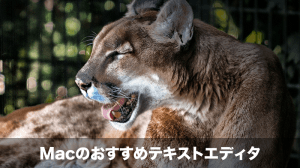 macのおすすめテキストエディタ