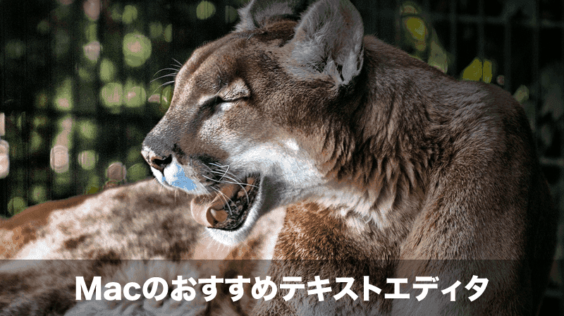 macのおすすめテキストエディタ