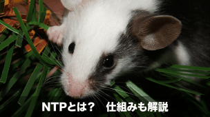 ntpとは