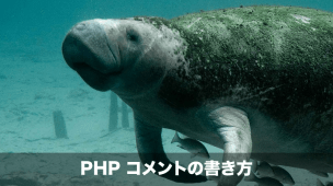 phpコメントアウト