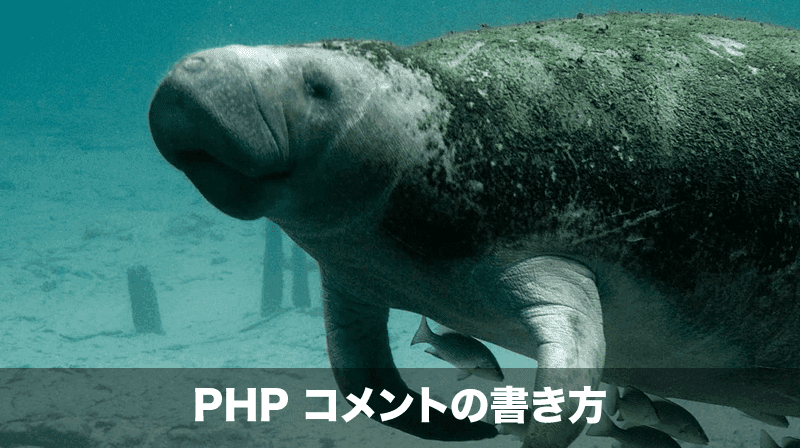 phpコメントアウト