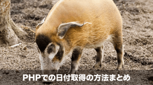 php 日付取得