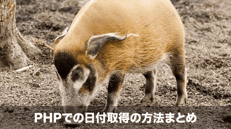 php 日付取得