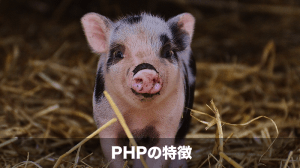 phpの特徴