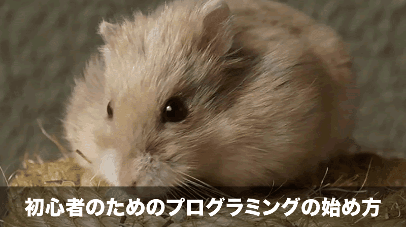 プログラミングの始め方