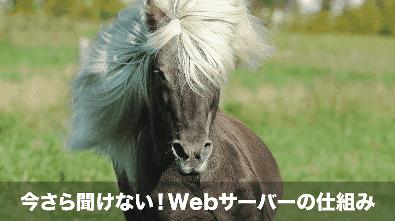 webサーバー