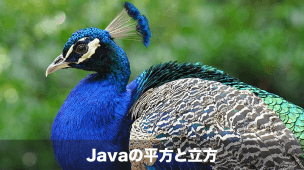 Javaの平方根と立方根