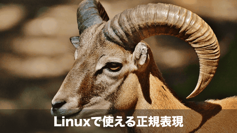 linuxで使える正規表現