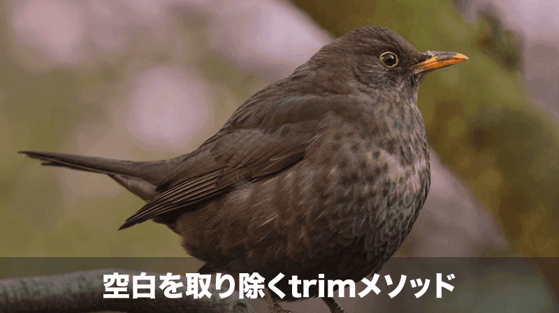 trimメソッド