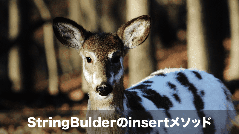 StringBuilder-insert