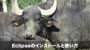 eclipseのインストールと使い方