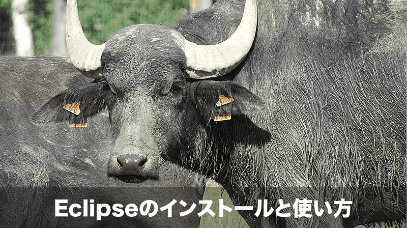 eclipseのインストールと使い方