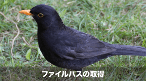 ファイルパスの取得