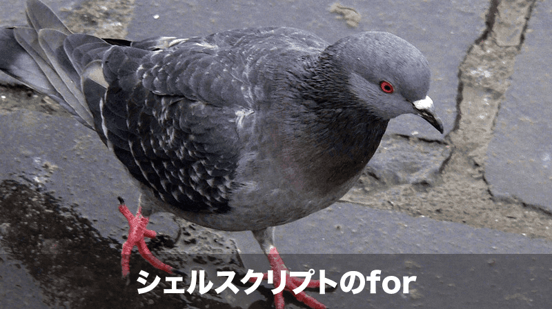 シェルスクリプトのfor