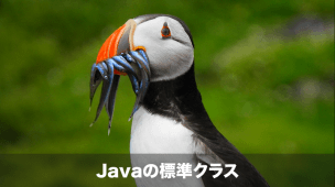 java-standard-class