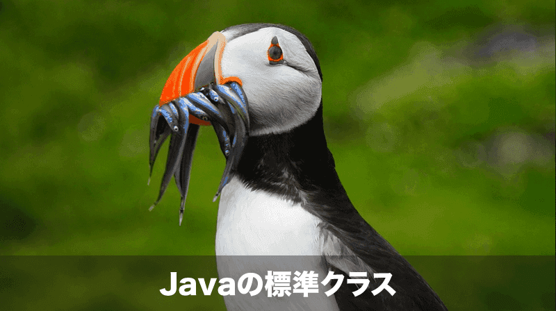java-standard-class