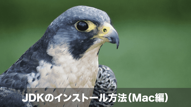 jdk インストール mac編