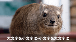 大文字を小文字に、小文字を大文字に