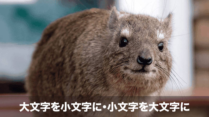 大文字を小文字に、小文字を大文字に